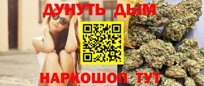 сатива Заводоуковск