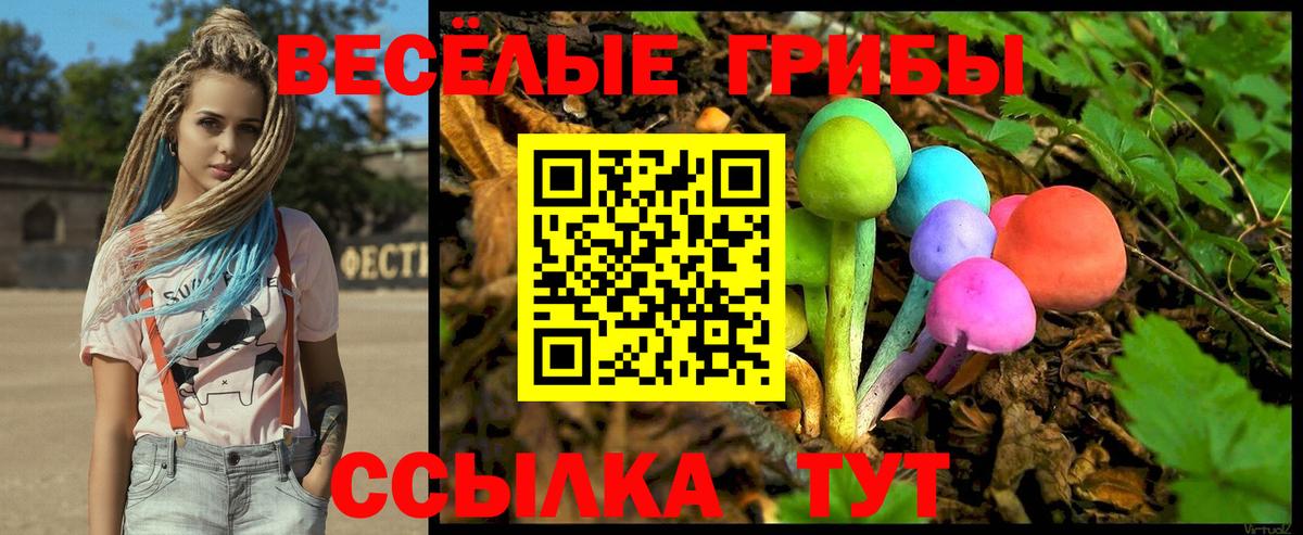 Галлюциногенные грибы MAGIC MUSHROOMS Менделеевск