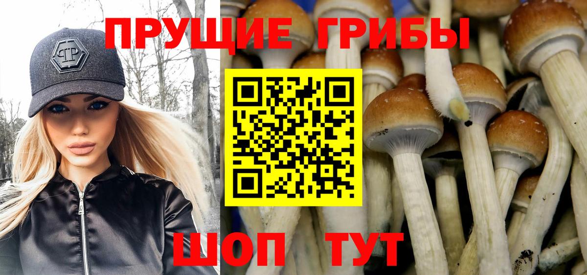 Менделеевск  наркошоп  Вход с VPN  Псилоцибиновые грибы Psilocybine cubensis 